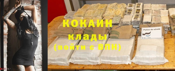мдпв Нея