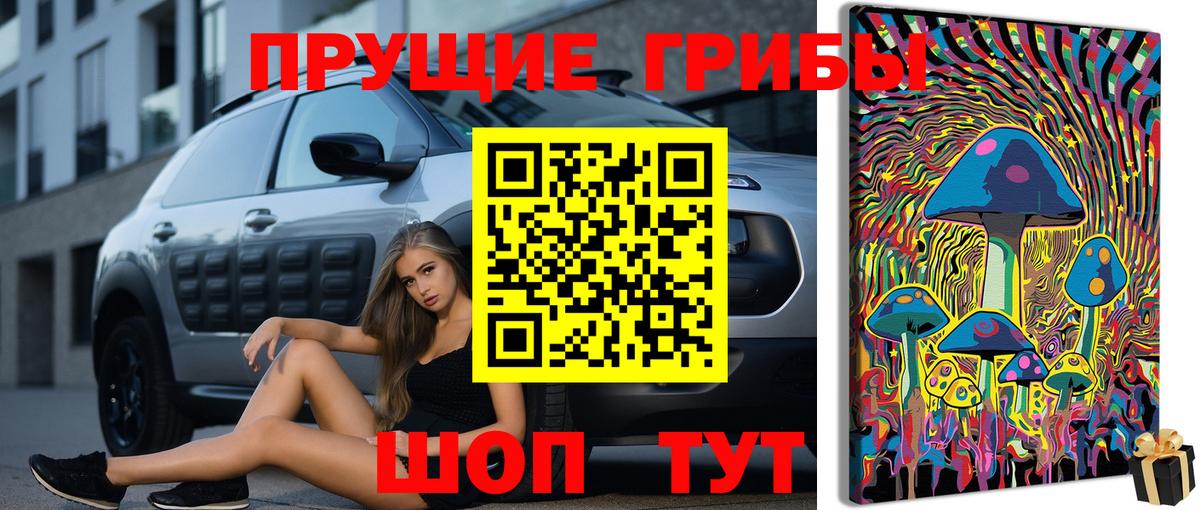 Набережные Челны  Галлюциногенные грибы Cubensis  Вход с VPN 