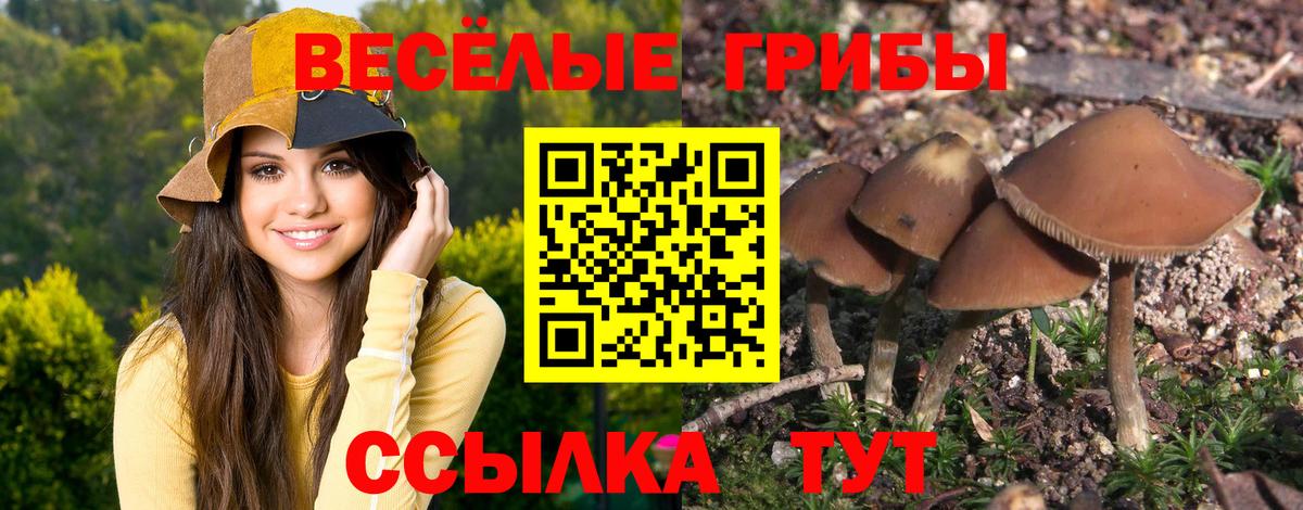 Псилоцибиновые грибы ЛСД Набережные Челны