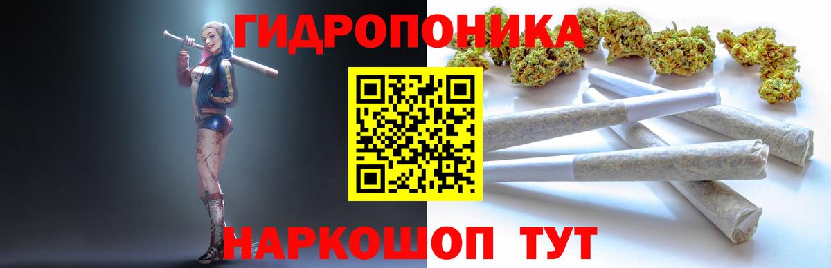 Шишки марихуана ГИДРОПОН  Каннабис гибрид  Набережные Челны  Бошки Шишки OG Kush  Вход с VPN 